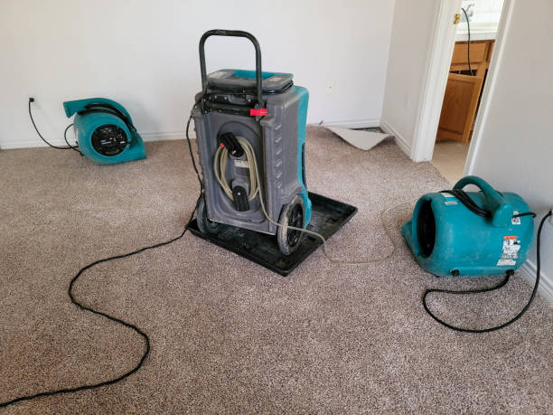 Best Flooded house restoration  in Bar Nunn, WY