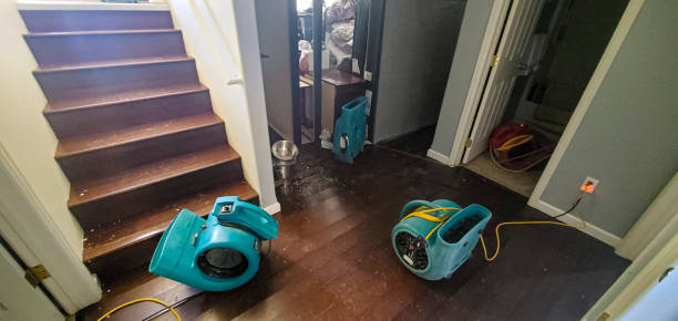Best Water damage cleanup near me  in Bar Nunn, WY