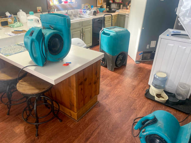 Best Fire Damage Restoration  in Bar Nunn, WY
