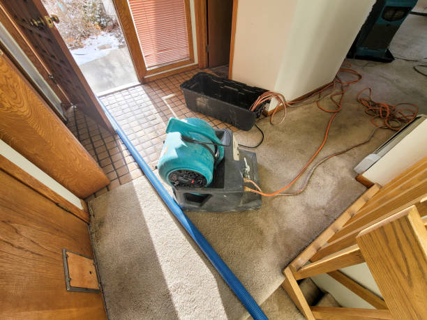 Bar Nunn, WY Water damage restoration Company