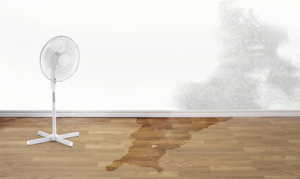 Best 24/7 water damage repair  in Bar Nunn, WY