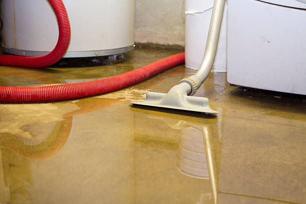 Best Water damage restoration experts  in Bar Nunn, WY